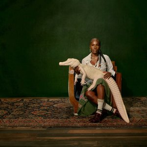 Image for 'Alligator Bites Never Heal'