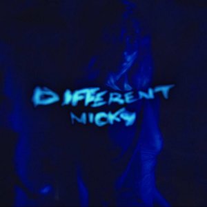 Image for 'different nicky'