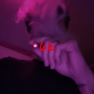 Image for 'youngvoid66'