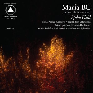 Image for 'Spike Field'