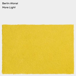 Image for 'Berlin Atonal: More Light'