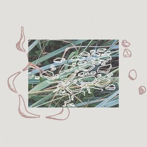 Image for 'Sculpturegardening'