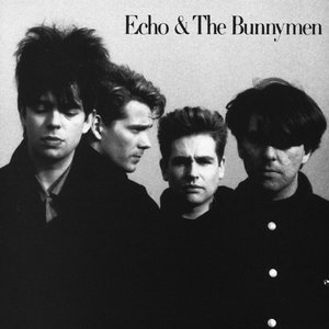 Immagine per 'Echo & the Bunnymen'