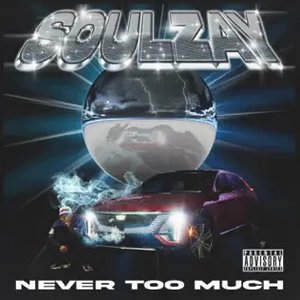 Image for 'Never Too Much'