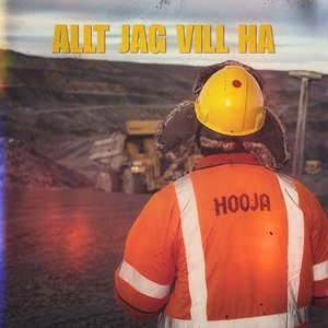 Image for 'ALLT JAG VILL HA'