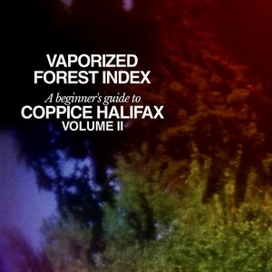 Image for 'Vaporized Forest Index (Volume II)'