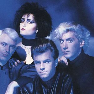 Image for 'Siouxsie and the Banshees'