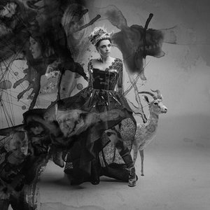Immagine per 'Evanescence'