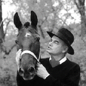 Image for 'Zvonko Bogdan'