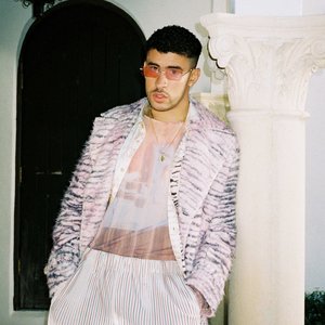 Image for 'Bad Bunny'