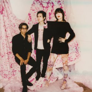 Immagine per 'Yeah Yeah Yeahs'