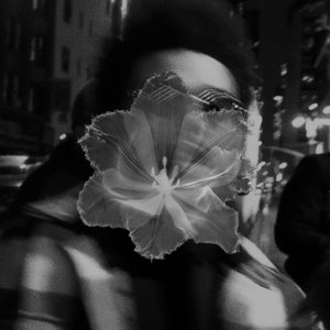 Image for 'The Weeknd'