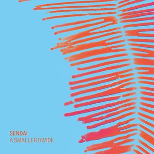 Immagine per 'A Smaller Divide'