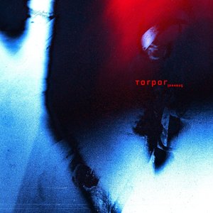Image for 'torpor'
