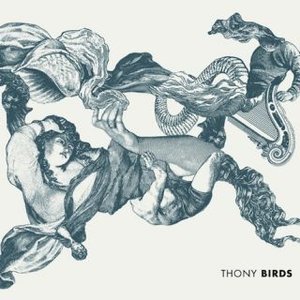 Image for 'Birds'