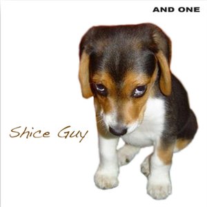 Image pour 'Shice Guy'