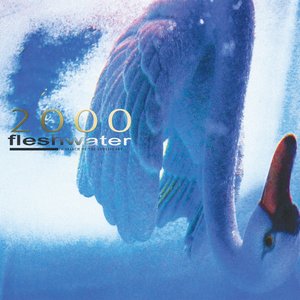 Image for '2000: In Search of the Endless Sky'