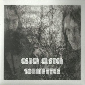 'Schmattes' için resim