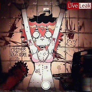 Image for 'live leak.'