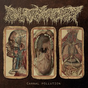 Image for 'Carnal Pollution'