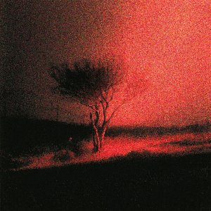 Zdjęcia dla 'Piss In The Wind'