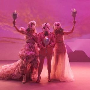Image pour 'The Chicks'