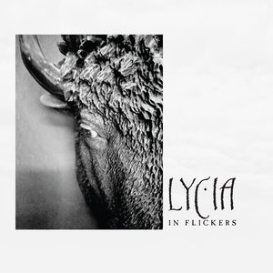 Zdjęcia dla 'In Flickers'