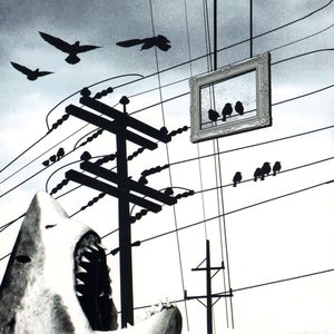 Image for 'Pretty And Perpendicular'