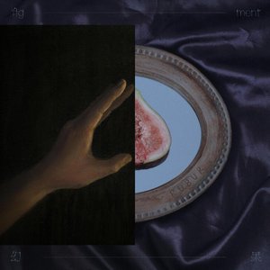 Image for 'Fig_ment 幻果'