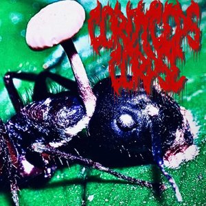 Image for 'Corpse Collector'