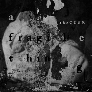 Image for 'A fragile thing'