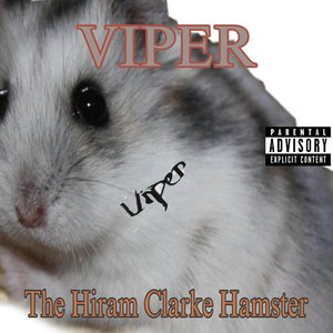 Image for 'The Hiram Clarke Hamster'