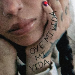 Immagine per 'OYE MI VIDA'