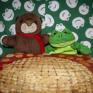 Image for 'Live at Banana Hall 1999-07-08'