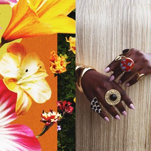 Image for 'What Does It Take to Bloom?'