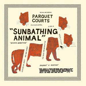 “Sunbathing Animal”的封面