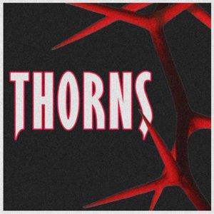 Image for 'Torn'