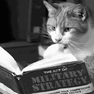 octacat