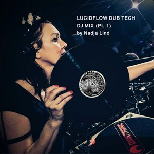 Imagem de 'Lucidflow Dub Tech Dj Mix, Pt. 1'