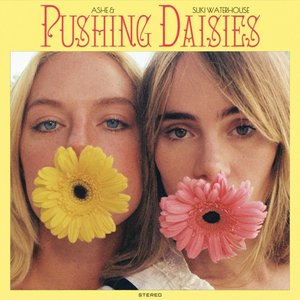 Image for 'Pushing Daisies - Single'