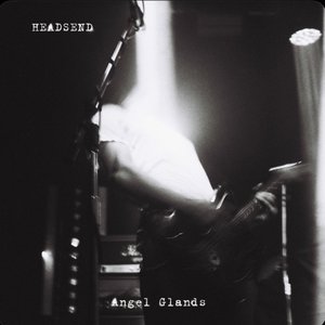 Image for 'Angel Glands'