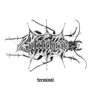 Image for 'Terminal'
