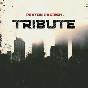 Image for 'Tribute'