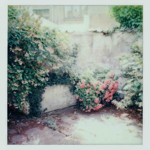 Image for 'Tranen'