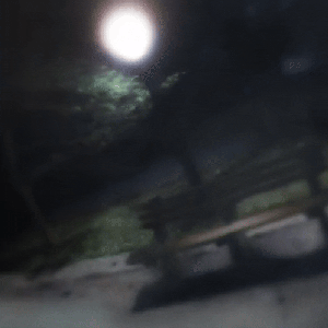 Image for 'xavier'