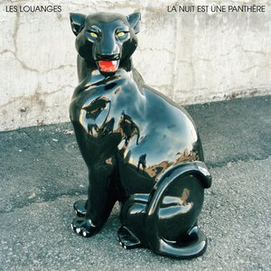 Image for 'La nuit est une panthère'