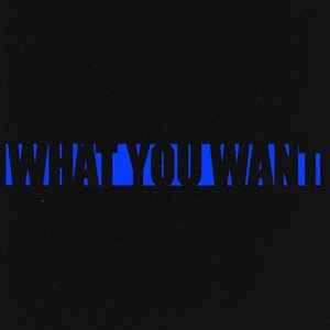 Image for 'What You Want'