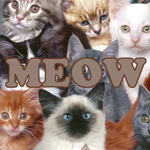 Bild för 'Meow'