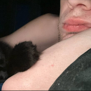 lexu_who77
