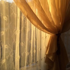 Image for 'ivory window'